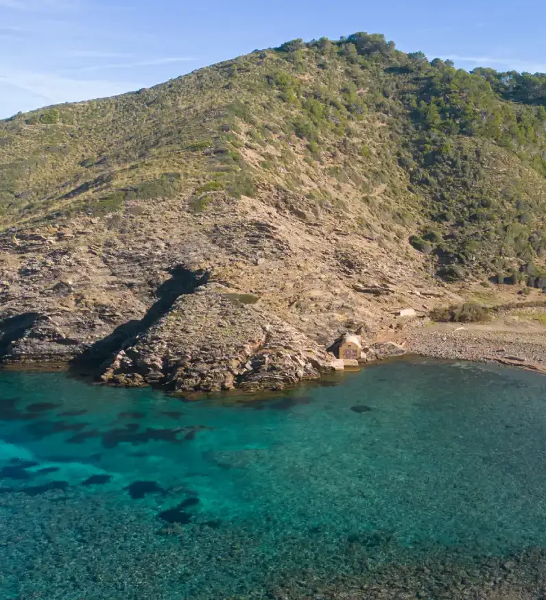 menorca ets alocs