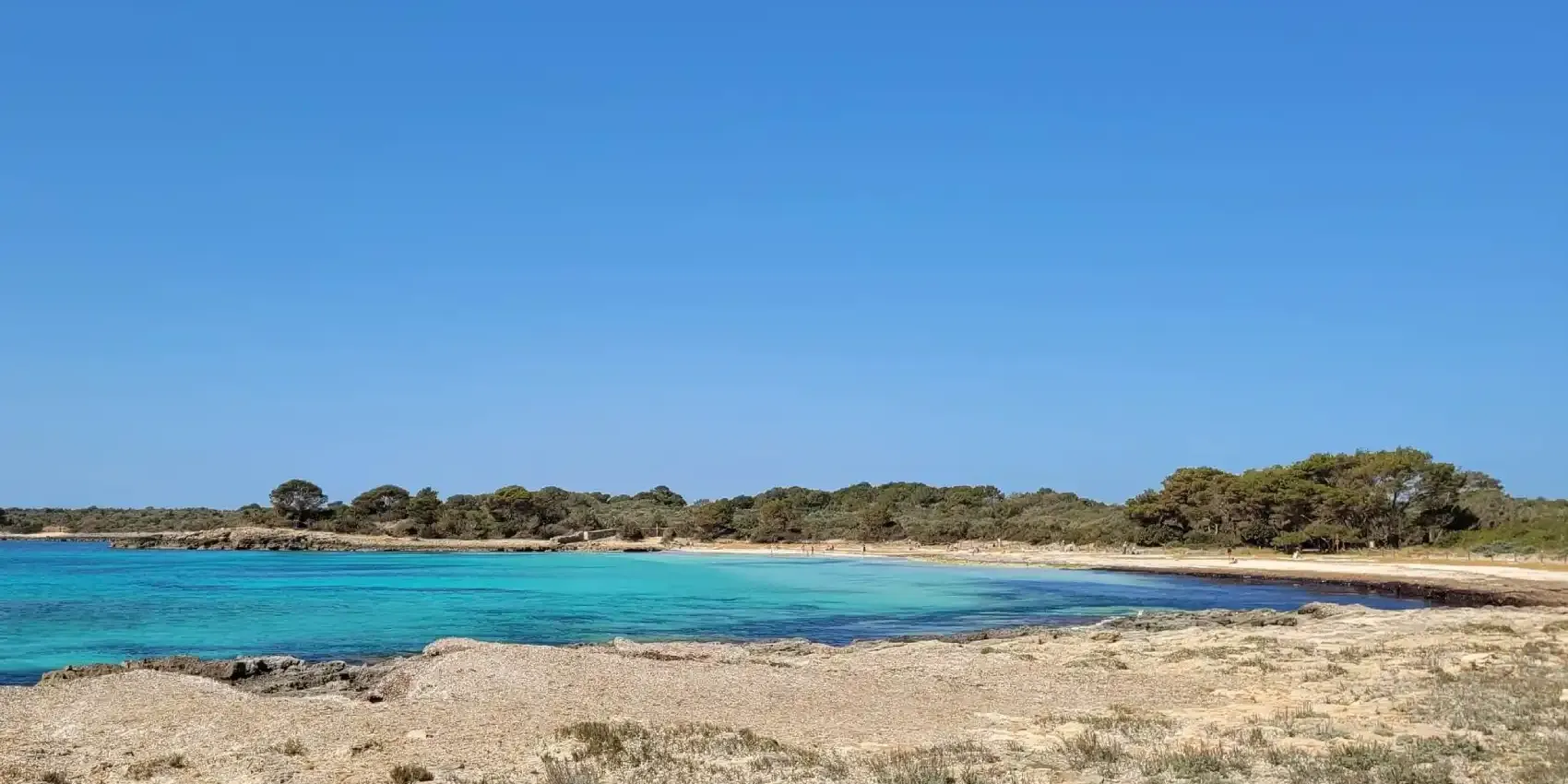Bahía de Son Saura, con aguas turquesas y pinar en la costa sur de Ciutadella