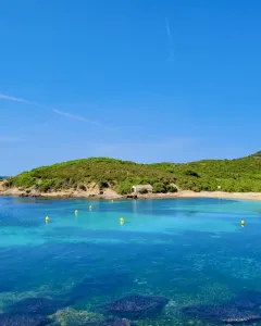 tamarells beach menorca