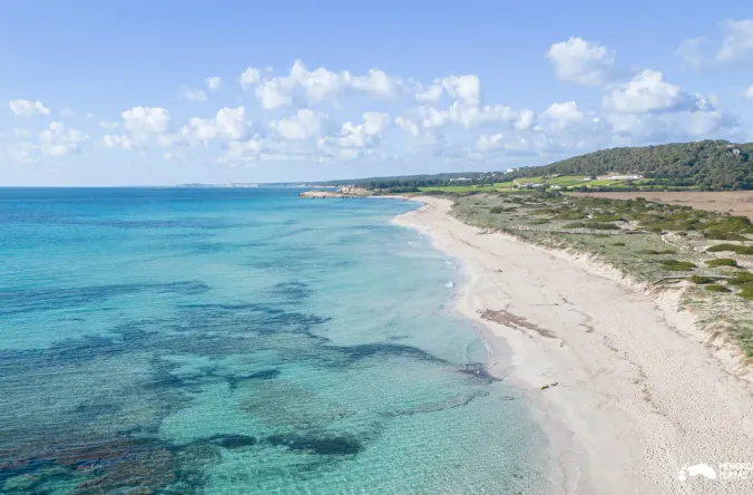 menorca or mallorca