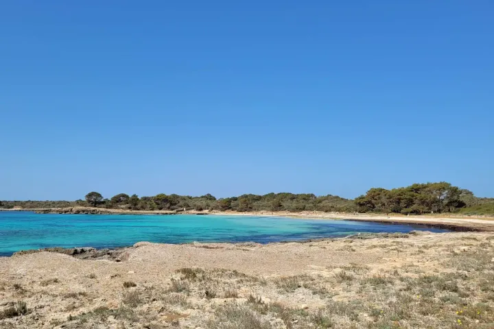 Bahía de Son Saura, con aguas turquesas y pinar en la costa sur de Ciutadella