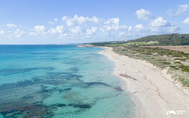 menorca o mallorca