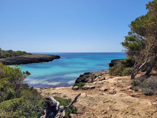 tips menorca cheap