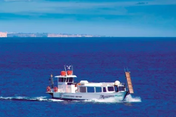 Boat journey around secret spots in the North of Menorca