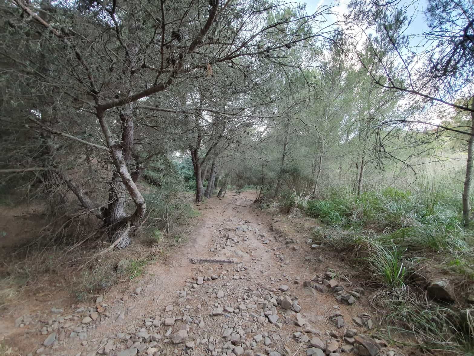 path cala en vidrier menorca