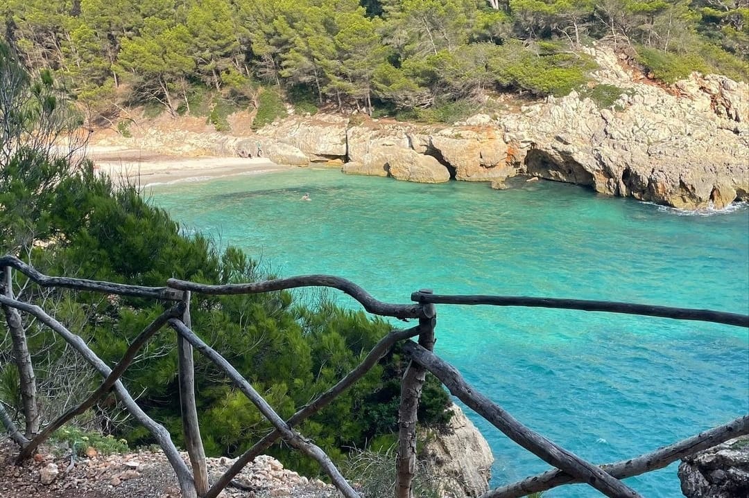 trees cala fustam menorca