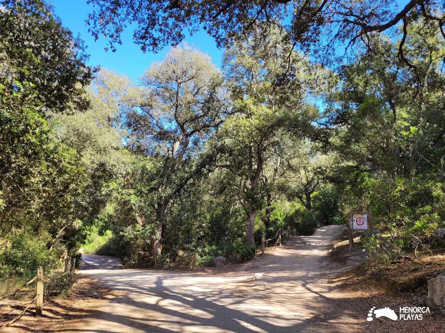 camino sendero a cala mitjana