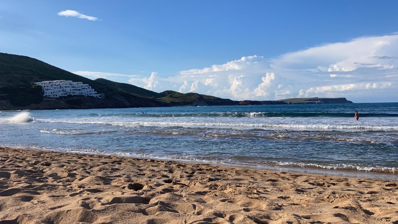 tirant playas de fornells minorca