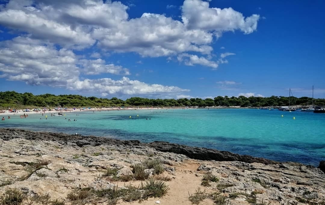 playa son saura menorca