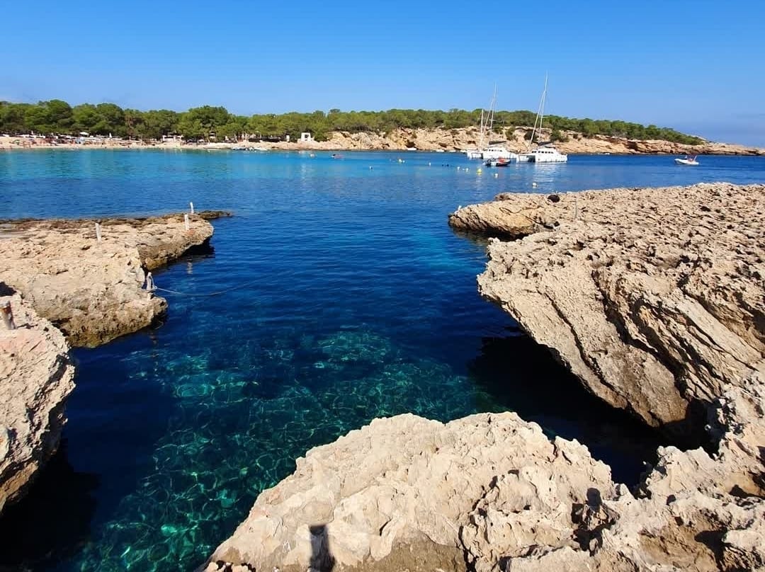 cala bassa ibiza