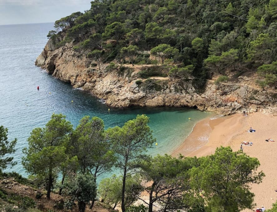 cala pola costa brava girona tossa de mar